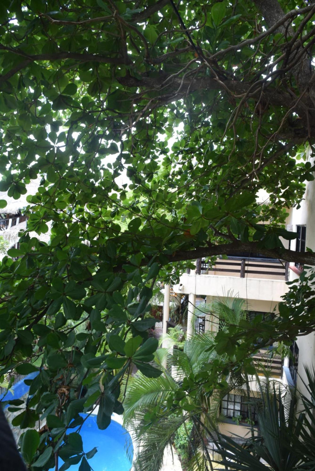 Hotel Casa El Moro Puerto Morelos Εξωτερικό φωτογραφία
